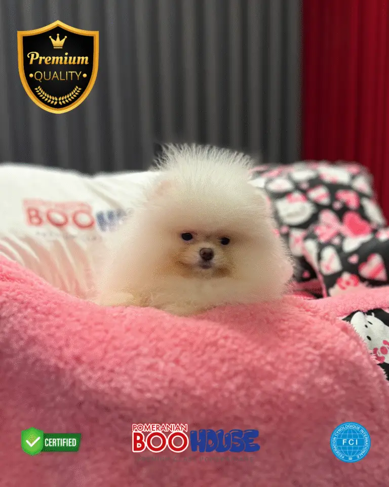 Puffy (3)