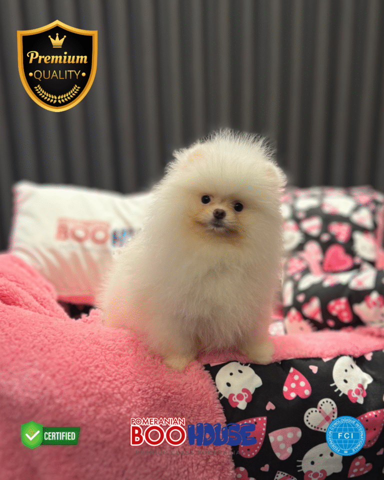Puffy (4)