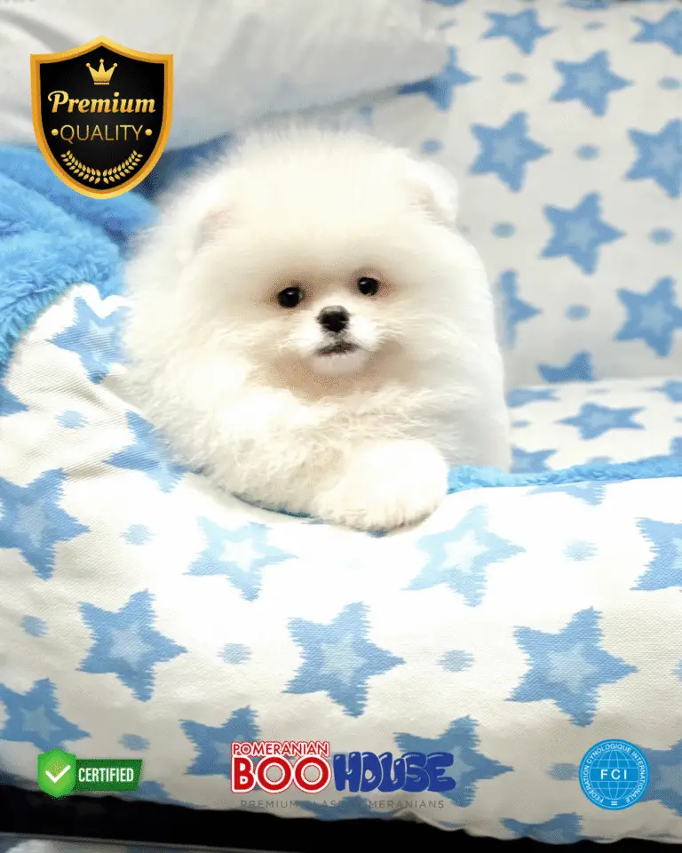 Cooper_