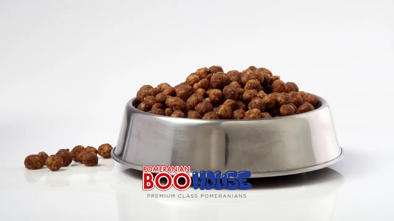 Pomeranian Boo için Hangi Mama Kullanılmalı?